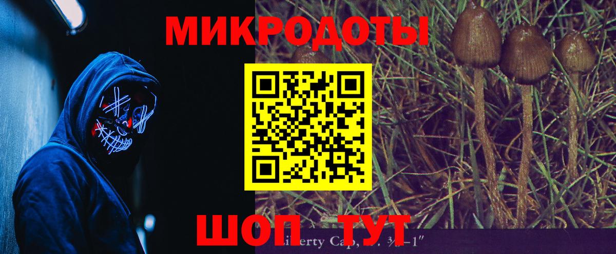 Псилоцибиновые грибы Cubensis Дивногорск