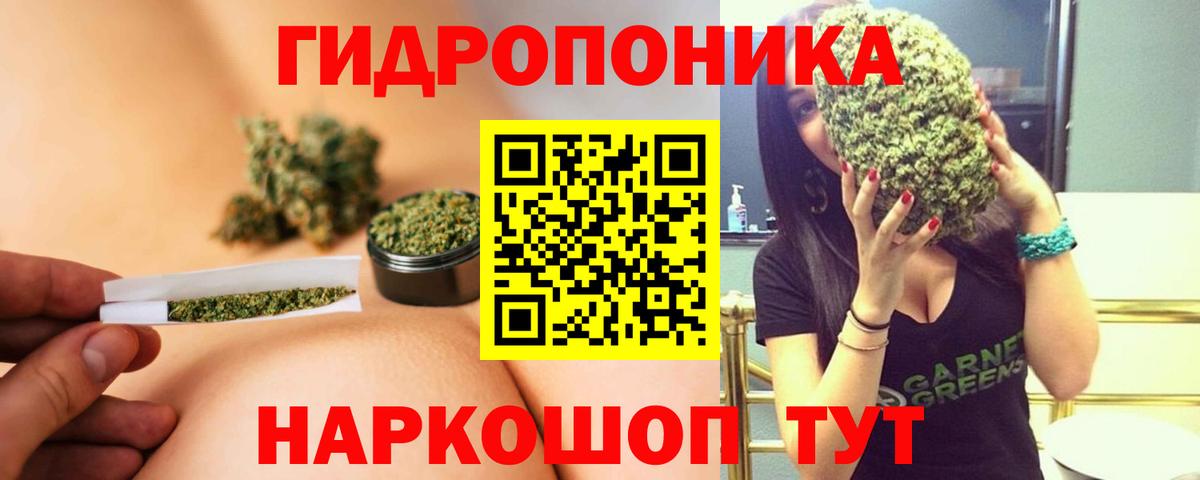МАРИХУАНА семена  Канабис ГИДРОПОН  Бошки Шишки сатива  Вход с VPN  Дивногорск 
